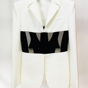 Fashion Sheer Mesh Panel Slim-Fit Blazer & Trousers – Statement Two-Piece Suit